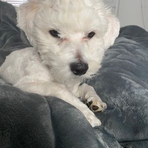 Meet your Posher, Courtney